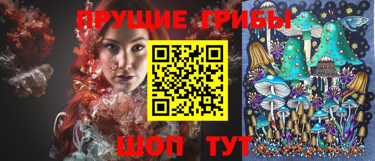 Галлюциногенные грибы ЛСД Северобайкальск